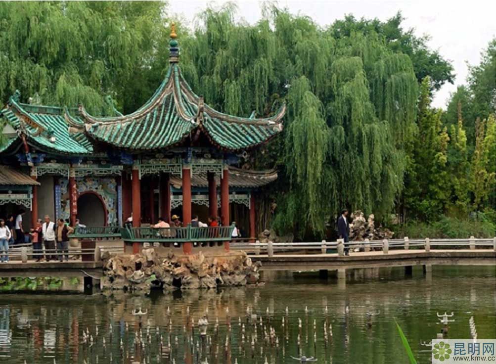 1445323356164285.jpg 456.jpg