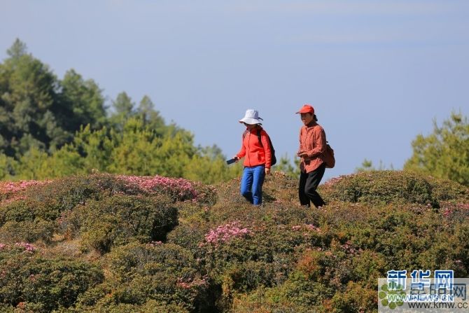 138042772_15572934721661n 138042772_15572934721661n