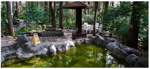 QQ截圖20200120143005 QQ截圖20200120143005